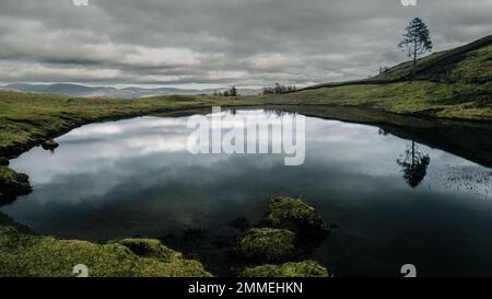 Camminando per i Wainwright Outlyers vicino a Windermere nel Lake District Foto Stock