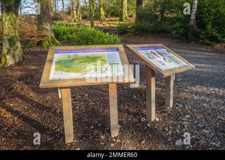 Camminando per i Wainwright Outlyers vicino a Windermere nel Lake District Foto Stock