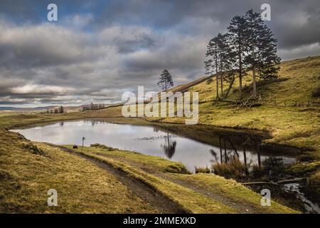 Camminando per i Wainwright Outlyers vicino a Windermere nel Lake District Foto Stock