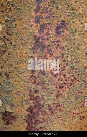 Primo piano di macchinari abbandonati, mostrando lamiera arrugginita. I colori includono verde, giallo, marrone arrugginito. Foto Stock