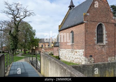 Particolare architettonico dell'edificio della Chiesa Collegiata di Saint-Ursler, situato a Binche, nella provincia belga dell'Hainaut. L'edificio in gran parte gotico Foto Stock