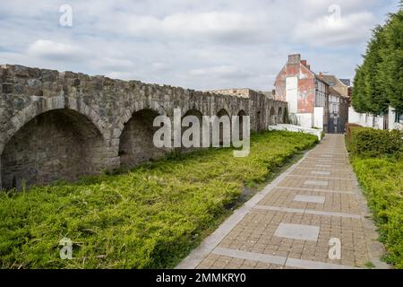 Particolare architettonico dell'edificio della Chiesa Collegiata di Saint-Ursler, situato a Binche, nella provincia belga dell'Hainaut. L'edificio in gran parte gotico Foto Stock