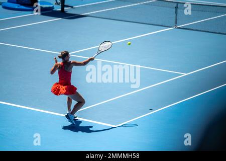 Folle che guardano una atleta professionista giocatore di tennis che gioca su un campo in un torneo di tennis in estate Foto Stock