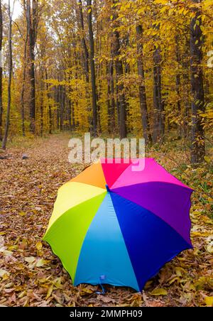 Ombrello colorato sdraiato su foglie gialle nel giorno d'autunno. Foto Stock