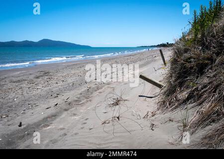 Eroding dune di sabbia dietro la spiaggia, Kapiti Island in lontananza, Queen Elizabeth Park, Paekakariki, Kapiti District, North Island, Nuova Zelanda Foto Stock