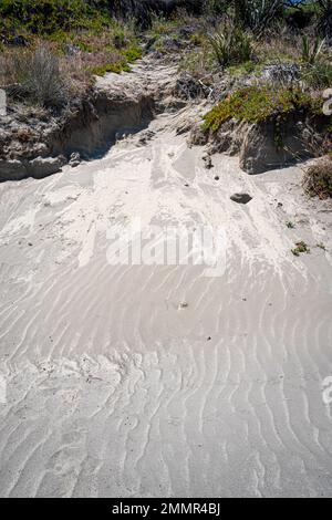 Eroding dune di sabbia dietro la spiaggia, Queen Elizabeth Park, Paekakariki, Kapiti District, North Island, Nuova Zelanda Foto Stock