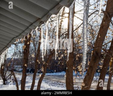 Le ciclicine trasparenti appendono dal tetto sullo sfondo del cielo blu luminoso e degli alberi. Primavera sciogliendo neve Foto Stock