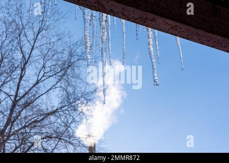 Le ciclicine trasparenti appendono dal tetto contro il cielo blu e gli alberi. Primavera sciogliendo neve. Concetto di pericolo di caduta di Icicle Foto Stock