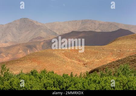 Una vista delle colorate montagne dell'Alto Atlante vicino a Tizi N'Tichka in Marocco. Foto Stock