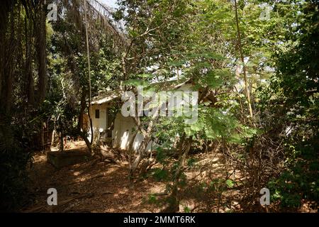 Street scene in Gambia, Africa occidentale. Una destinazione sub-tropicale caldo e soleggiato sole invernale per i nordeuropei. Una casa ombreggiata. Foto Stock