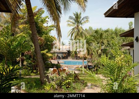 Un giardino verdeggiante attorno ad una piscina d'hotel in Gambia, Africa Occidentale. Una varietà di piante subtropicali. Foto Stock