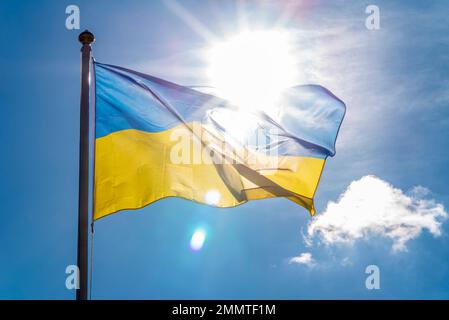 Bandiera Ucraina con un luminoso sunburst che splende. Bandiera nazionale Ucraina che vola al sole. Nel Gloucestershire, Regno Unito Foto Stock