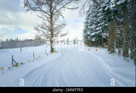Strada innevata vuota con pneumatici in pista nella foresta nella nuvolosa giornata invernale Foto Stock