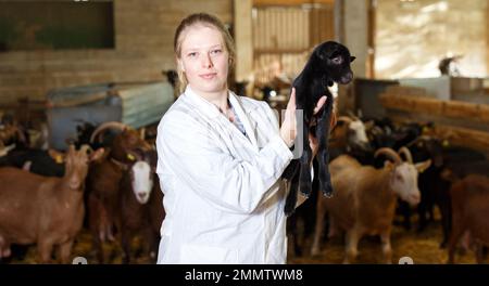 Veterinario donna esamina un goatlings in azienda Foto Stock