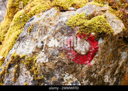 Cartello segnaletico rosso sulla strada dell'hacking su una pietra ricoperta di muschio. Attività e avventure nella foresta e in montagna Foto Stock