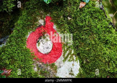 Segnavia per l'hacking dipinto su una pietra ricoperta di muschio. Attività e avventure nella foresta e in montagna Foto Stock