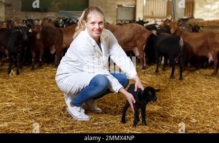 Veterinario donna che si cura di piccole capre Foto Stock