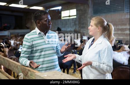 Proprietario di fattoria di capra discutere con veterinario femminile Foto Stock