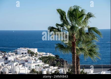 Vista sulla zona del porto e sull'oceano a Puerto del Carmen, Lanzarote, Isole Canarie Foto Stock