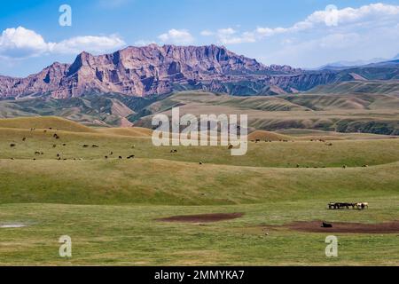 Paesaggio lungo la catena montuosa di At-Bashy, la regione di Naryn, il Kirghizistan Foto Stock