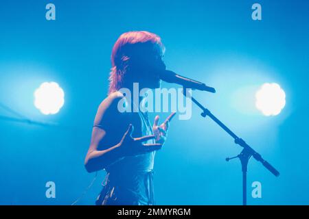 Madrid, Spagna. 29th Jan, 2023. Concerto EDE a Inverfest, il 29 gennaio 2023 al Teatro Eslava, Madrid, Spagna. (Foto di Jon Imanol Reino/NurPhoto) Credit: NurPhoto SRL/Alamy Live News Foto Stock