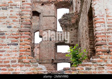 Rovine del tardo barocco Palazzo di Finckenstein a Kamieniec, in Polonia, costruito nel XVIII secolo per la nobile famiglia di Finck von Finckenstein, chiamata il Pr orientale Foto Stock