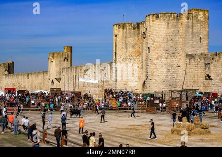 Francia, Gard (30), Aigues-Mortes, Camargue, festa votiva, pianificare la corsa Foto Stock