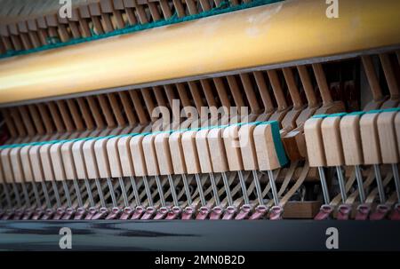 Dettagli del meccanismo a pianoforte gavel - corda, spille e martelli, pianoforte dal 1973 Foto Stock