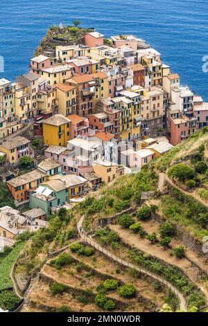 Italia, Liguria, Parco Nazionale delle cinque Terre Patrimonio Mondiale dell'UNESCO, villaggio di Manarola Foto Stock