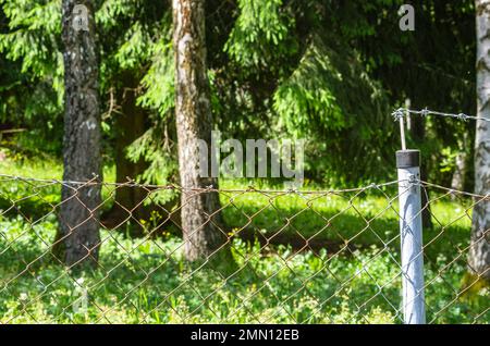 Segni di furto: Ladri e ladri tagliano il filo spinato superiore di una  recinzione da giardino per superarlo senza essere danneggiato Foto stock -  Alamy