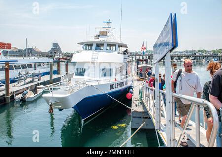 I turisti che entrano al Molo di MacMillan dopo una crociera di avvistamento delle balene nelle acque al di fuori di Provincetown, ma e Cape Cod. Foto Stock