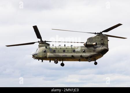 L'elicottero pesante Boeing CH47D Chinook della squadra espositore RAF Chinook di RAF Odiham fa un passo basso. Foto Stock