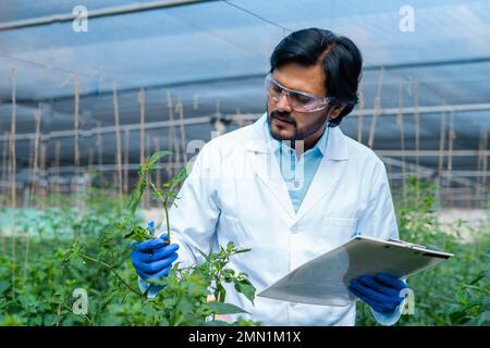 agro scienziato impegnato a lavorare in serra, notando giù le condizioni della pianta sulla clipboard - concetto di occupazione professionale, monitoraggio e moderno Foto Stock