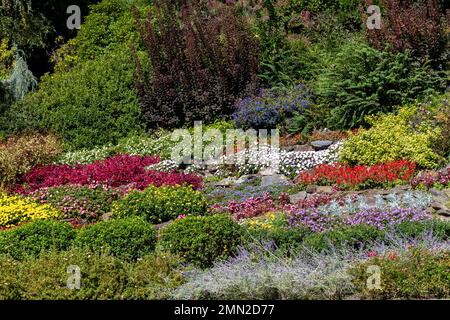 grande giardino roccioso con piante multicolore Foto Stock