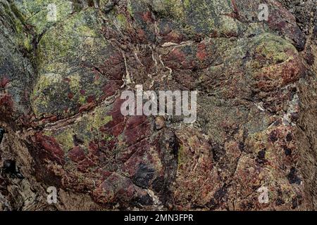 Le rocce nelle scogliere di Porthleven sono principalmente rocce sedimentarie a grana fine (turbiditi)., i Turbiditi sono sedimenti che vengono trasportati e depositati Foto Stock