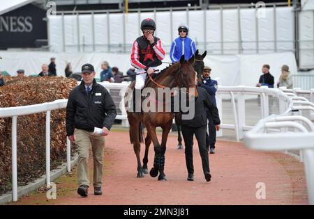 Quarta gara l'Albert Bartlett Clarence House Chase. Funambule Sivola guidato da Charlie Deutsch fa la sua strada per il corso Horse Racing a Chel Foto Stock