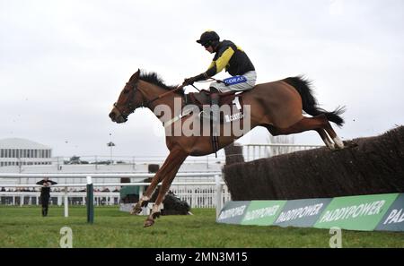 Quarta gara l'Albert Bartlett Clarence House Chase. Amarillo Sky guidato da Brendan Powell salta l'ultima corsa ippica all'ippodromo di Cheltenham, Foto Stock