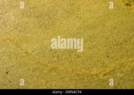 Struttura dell'acqua di scarico, sfondo verde acqua sporca. Foto di alta qualità Foto Stock