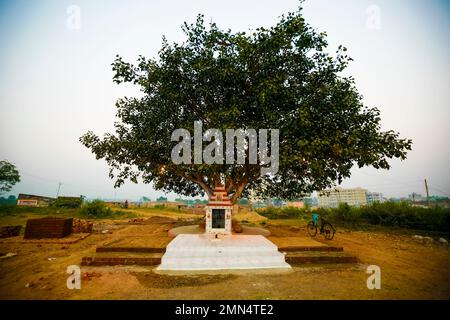 Tempio sul lato della strada a Jharkhand. Foto Stock