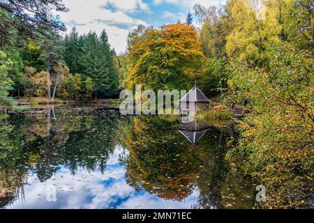 Loch Dunmore, Fascally Forest, Pitlochry, Scozia Foto Stock