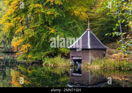 Loch Dunmore, Fascally Forest, Pitlochry, Scozia Foto Stock