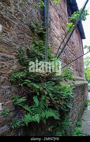 Stretto vicolo tra gli edifici Foto Stock