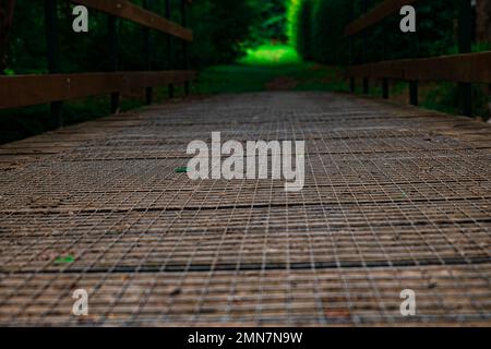 vista sul terreno di un ponte di legno nel mezzo della foresta Foto Stock