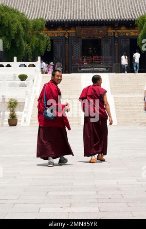 Monaco sorridente / monaci vicino alla Pagoda dell'Oca Selvatica Gigante nei terreni del Tempio di Daci'en, un tempio buddista nel distretto di Yanta, Xian / Xi'an, Shaanxi, Cina. (125). Foto Stock