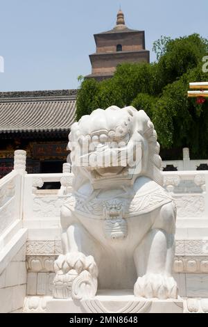 Scultura in pietra di un leone o drago cinese scolpita in pietra bianca e raffigurata di fronte alla Pagoda dell'Oca Selvatica Gigante nei terreni del Tempio di Daci'en, un tempio buddista a Xian / Xi'an, Shaanxi, Cina. (125). Foto Stock