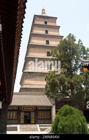 Vista della Pagoda da Yan / da Tan / Popular; 'Giant Wild Goose' nei terreni del Tempio di Daci'en, un tempio buddista nel quartiere di Yanta, Xian, Cina. (125) Foto Stock