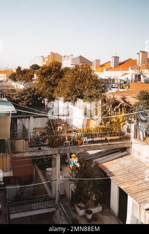 Un ampio angolo verticale vista drone di un tipico cortile europeo con piccoli ponti tra case e patii, abbondanza di piante e frutta tre Foto Stock