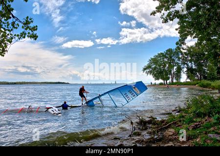 L'uomo che cerca di far salire la sua vela da windsurf Foto Stock