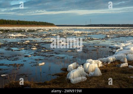 Gli ultimi galleggianti di ghiaccio galleggiano e si sciolgono sdraiati sulla riva in primavera lungo il fiume Vilyui a nord di Yakutia, sullo sfondo della foresta in Th Foto Stock