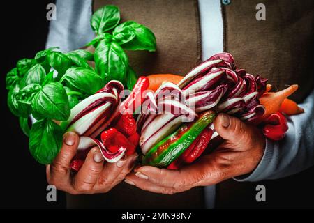 Ortaggi e frutta fresca, coltivati e raccolti in campagna in una mano Foto Stock